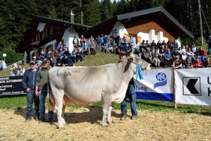 Miss Haldi Eros Elli